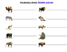 vocabulary sheets